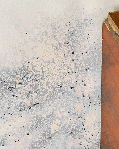 đĽđFast Acting Anti-Mold Wall Cleaner Spray