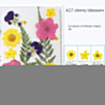 🎁🌸Transparent DriedFlower Bookmarks-DIY Bookmarks