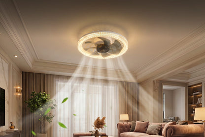 2-in-1 Mute Adjustable Fan Light with Remote Control