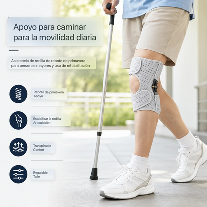 Spring-Assisted Knee Brace
