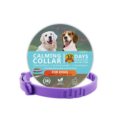 Calming Collars For Cats And Dogs