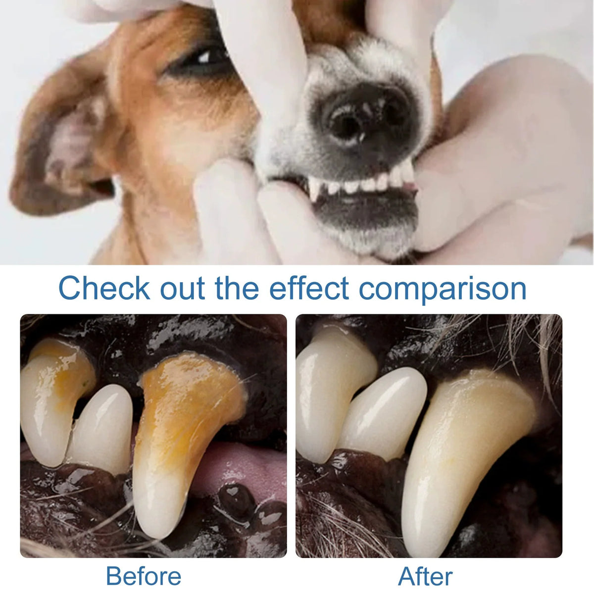 🔥🔥Pet Dental Tartar Care Spray