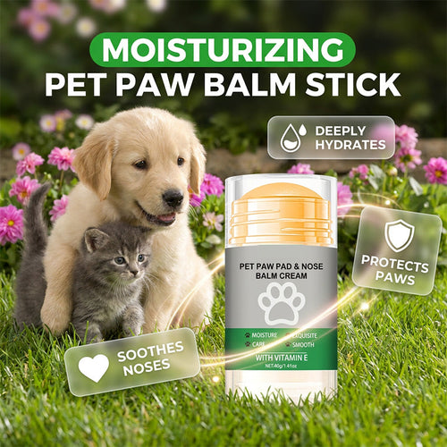 🎁 🔥🔥buy 2 free 3! 🐶 Moisturizing paw balm – convenient care for soft, well-groomed paws