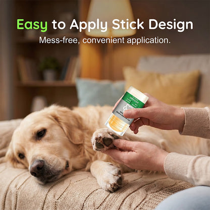 🎁 🔥🔥buy 2 free 3! 🐶 Moisturizing paw balm – convenient care for soft, well-groomed paws