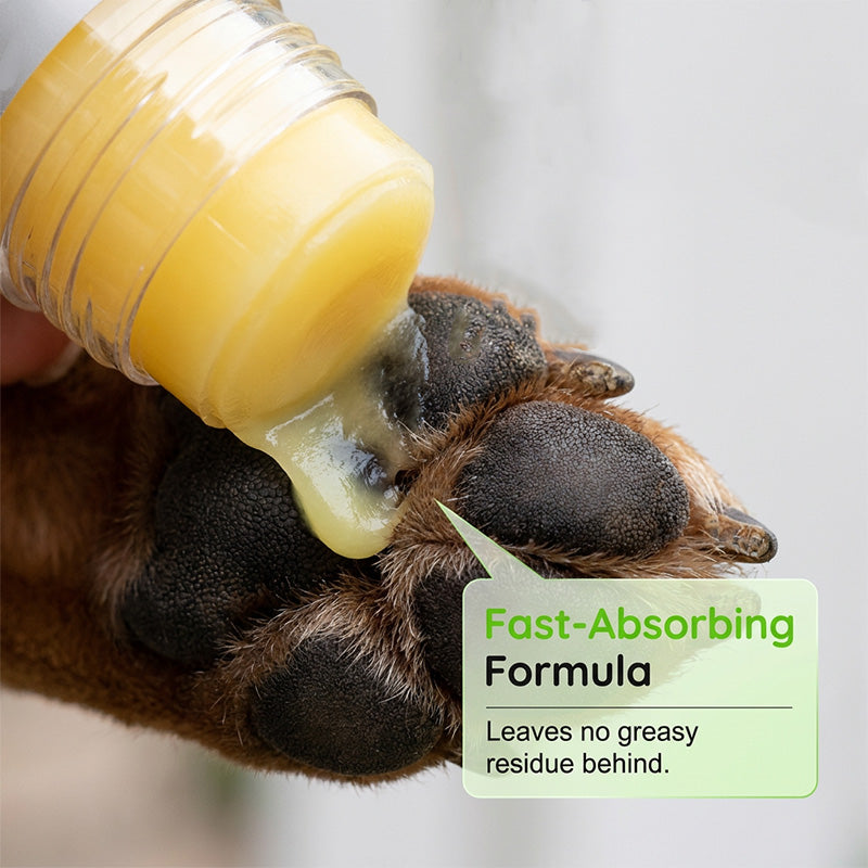 🎁 🔥🔥buy 2 free 3! 🐶 Moisturizing paw balm – convenient care for soft, well-groomed paws