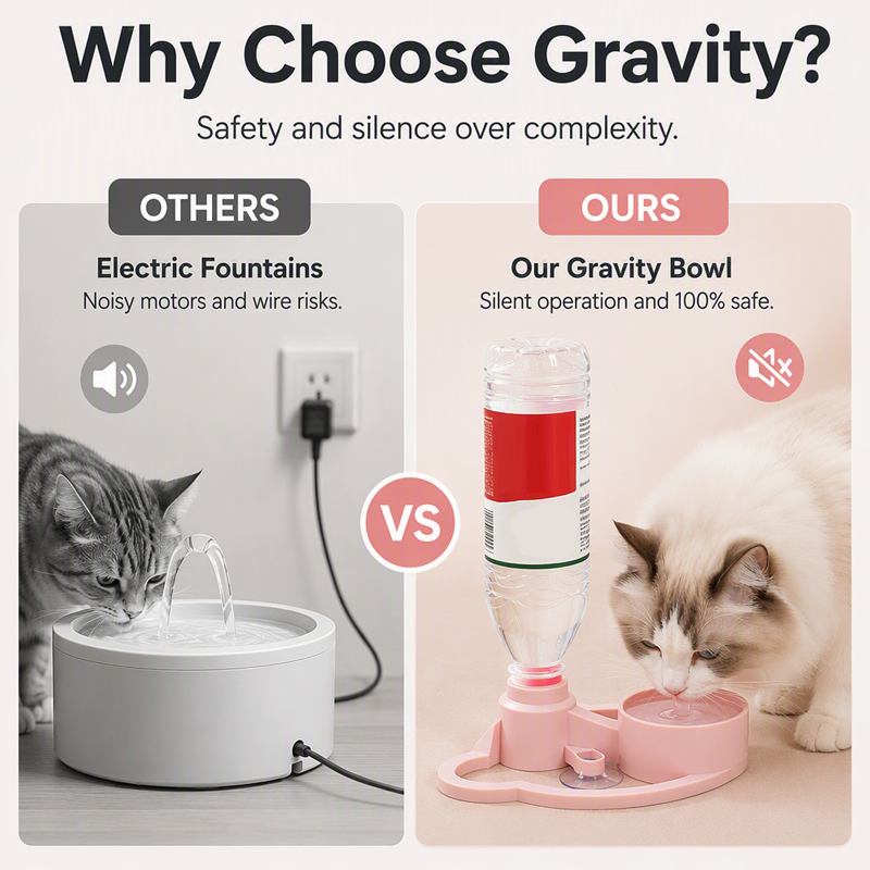 Gravity-Fed Pet Water Dispenser