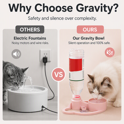 Gravity-Fed Pet Water Dispenser